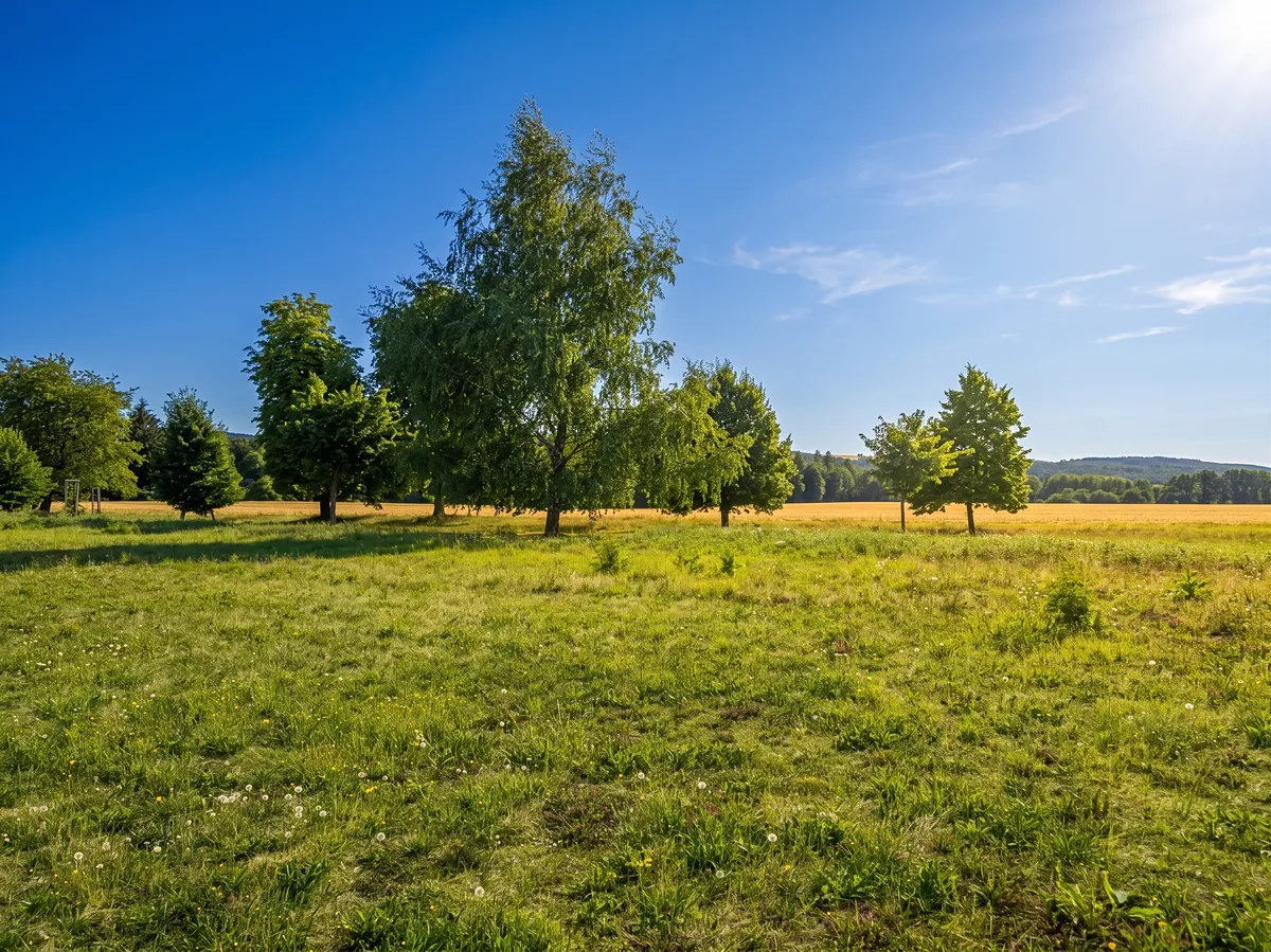 Prodej stavebního pozemku 1082 m²